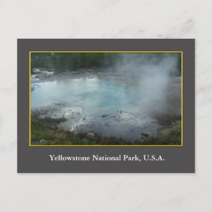 Carte Postale USA Yellowstone National Park