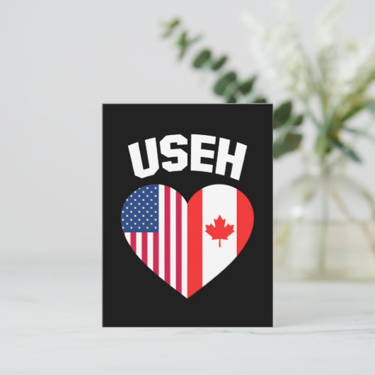 Carte Postale USEH America Canada Drapeau drôle Américain Canadi (Debout devant)