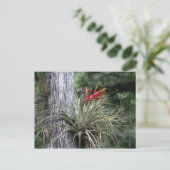 Carte Postale Usine d'air (Debout devant)