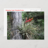 Carte Postale Usine d'air (Devant / Derrière)