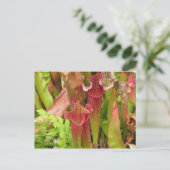 Carte Postale Usines de broc (Debout devant)