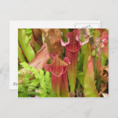 Carte Postale Usines de broc (Devant / Derrière)