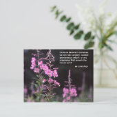 Carte Postale Usines de Fireweed - citation de cummings de l'EE (Debout devant)