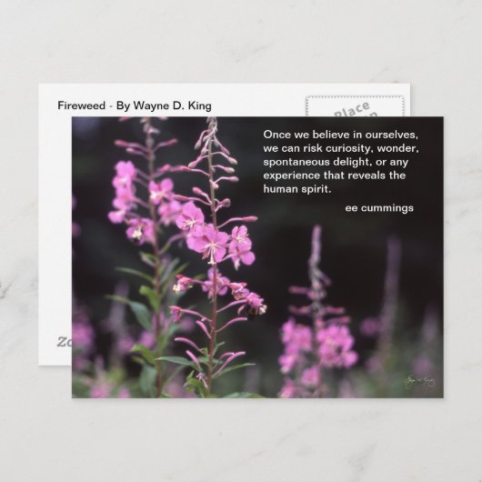 Carte Postale Usines de Fireweed - citation de cummings de l'EE (Devant / Derrière)