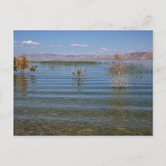 Carte Postale UT, lac Bear (Devant)