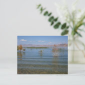 Carte Postale UT, lac Bear (Debout devant)