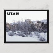 Carte Postale Utah (Devant)