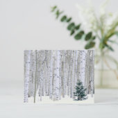 Carte Postale UTAH. États-Unis Aspen (Populus tremuloides) et Do (Debout devant)