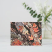 Carte Postale Utah, Parc national de Sion, Motifs de l'automne (Debout devant)