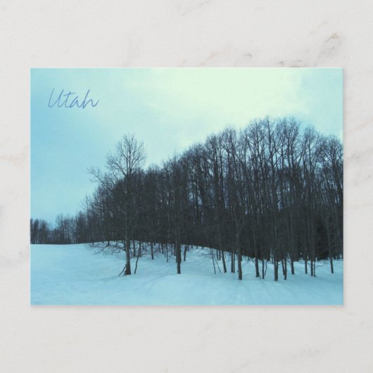 Carte Postale Utah pittoresque (Devant)
