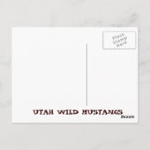 Carte Postale Utah Wild Mustangs (Dos)