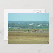 Carte Postale ~ Utilisation des champs 4 ~ (Devant / Derrière)