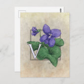 Carte Postale V pour violets (Devant / Derrière)
