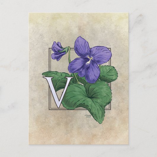 Carte Postale V pour violets (Devant)