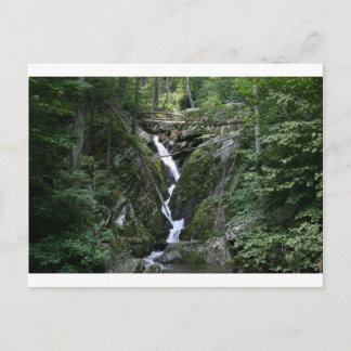 CARTE POSTALE VA DE L'ARBRE DE CRABRE