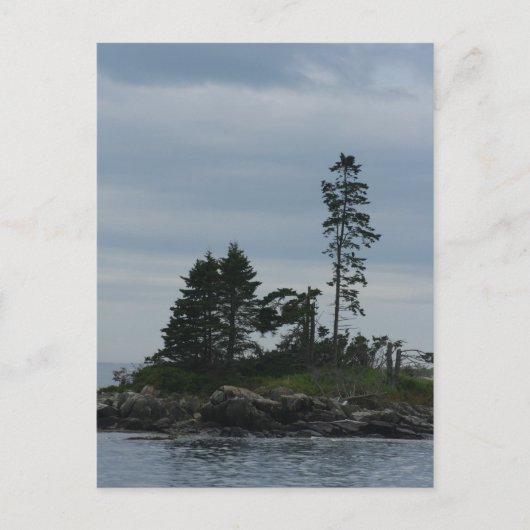 Carte postale Vacances (Devant)