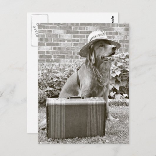 Carte Postale Vacances (Devant / Derrière)