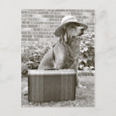 Carte Postale Vacances (Devant)