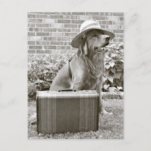 Carte Postale Vacances (Devant)