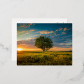 Carte postale vacances (Recto/Verso)