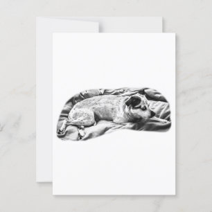 Carte Postale Vacances Bonjour de Bed and Blanket