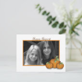 Carte postale Vacances Citrouilles peintes (Debout devant)