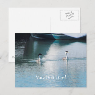 Carte postale - Vacances en croisière