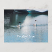 Carte postale - Vacances en croisière (Devant)