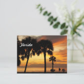 Carte Postale Vacances en Floride (Debout devant)