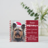 Carte Postale Vacances photo pour animaux de compagnie (Debout devant)