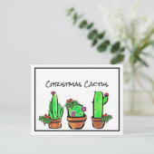 Carte Postale Vacances sympa Xmas Cactus cactus cactus succulent (Debout devant)