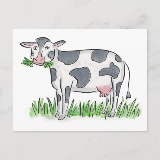 Carte Postale Vache (Devant)