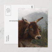 Carte Postale Vache (Devant / Derrière)