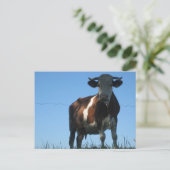 Carte Postale Vache (Debout devant)