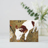 Carte Postale Vache (Debout devant)