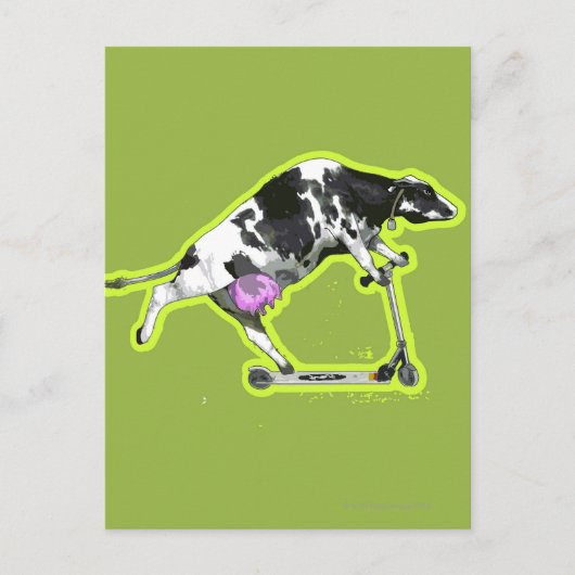 Carte Postale Vache à cheval sur un scooter (Devant)