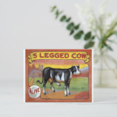 Carte Postale Vache à cinq pattes (Debout devant)