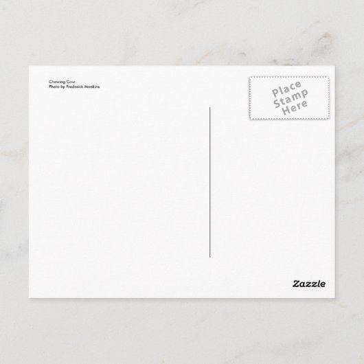 Carte Postale Vache à mâcher (Dos)