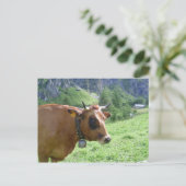 Carte Postale Vache alpine (Debout devant)