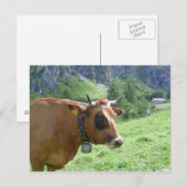 Carte Postale Vache alpine (Devant / Derrière)