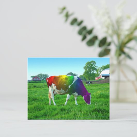 Carte Postale Vache arc-en-ciel (Debout devant)