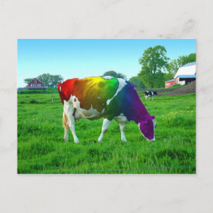 Carte Postale Vache arc-en-ciel