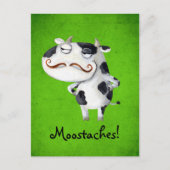 Carte Postale Vache aux moustaches (Devant)