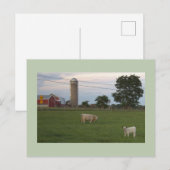 Carte postale Vache avec ferme de veau (Devant / Derrière)