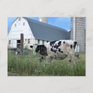 Carte Postale Vache avec grange