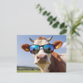 Carte Postale Vache avec lunettes de soleil (Debout devant)