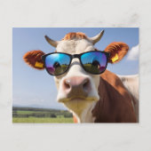 Carte Postale Vache avec lunettes de soleil (Devant)