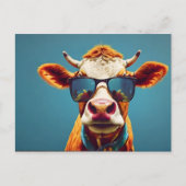 Carte Postale Vache avec lunettes de soleil (Devant)