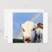 Carte Postale Vache bébé (Devant / Derrière)