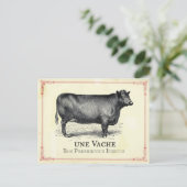 Carte Postale Vache Cow (Debout devant)